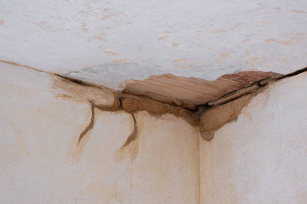 Best Sewage cleanup and water damage restoration  in Hopkinsville, KY