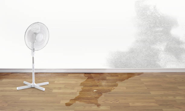 Best Water damage restoration near me  in Hopkinsville, KY